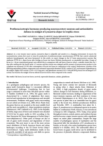 Prothoracicotropic hormone-producing neurosecretory