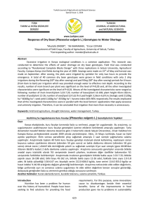 Response of Dry Bean (Phaseolus vulgaris L.) Genotypes to Water